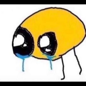 Meet your Posher, Jon